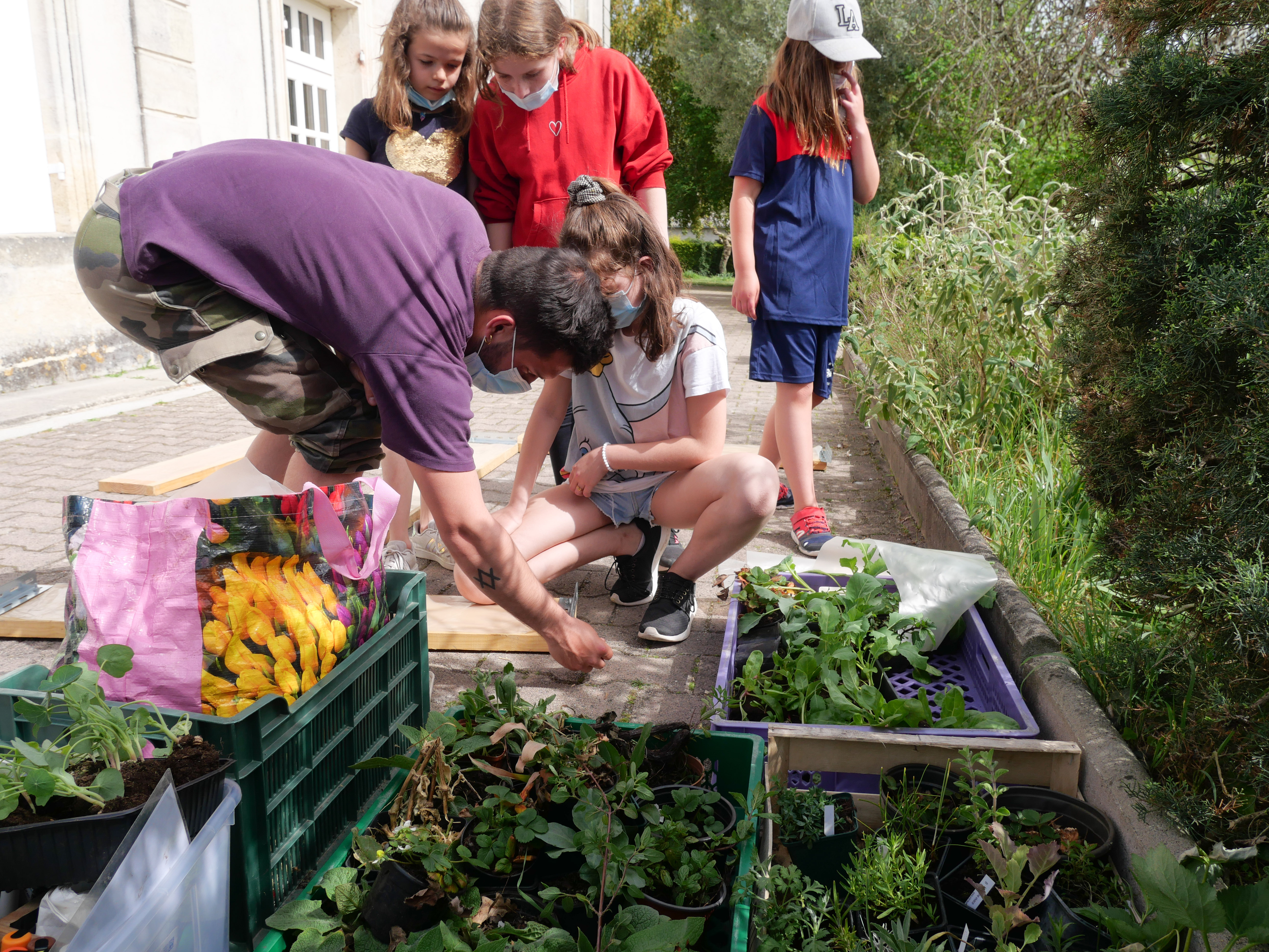 Savez-vous Planter Chez Nous - Le site de partage de jardin